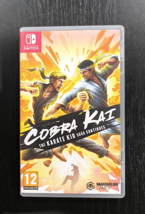 Cobra kai the karate kid saga continues Nintendo switch