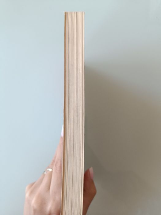 Książka "Zaklinaczka butów"