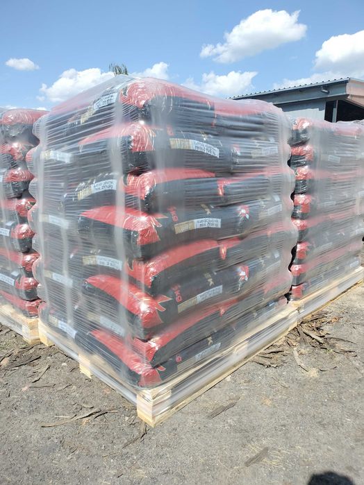 Groszek Bartex GOLD