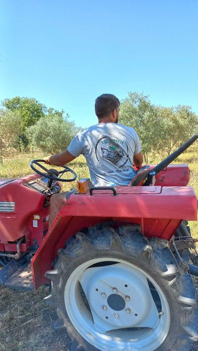 Serviços de trator/giratória - Limpeza de terrenos, jardins