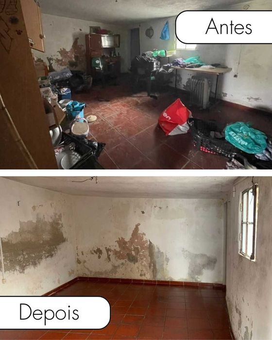 Remoção de monos, Limpezas de terrenos  e muito mais!