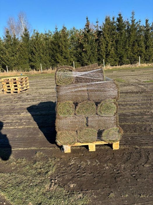 40m² trawy z rolki+transport – plantacja