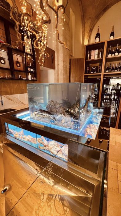 Оренда (продаж) торгових акваріумів для УСТРИЦЬ ВІД 4500 грн/мІс