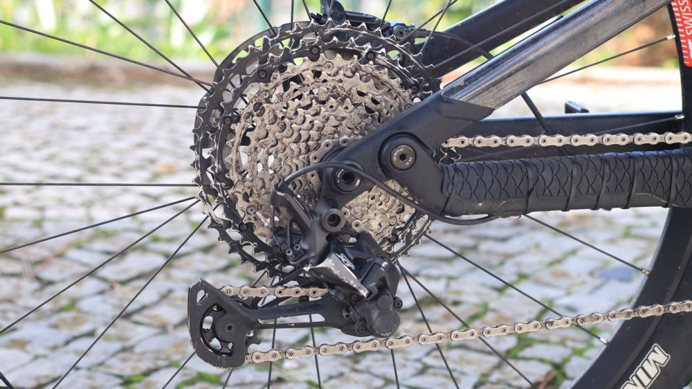 Canyon neuron 7 2023