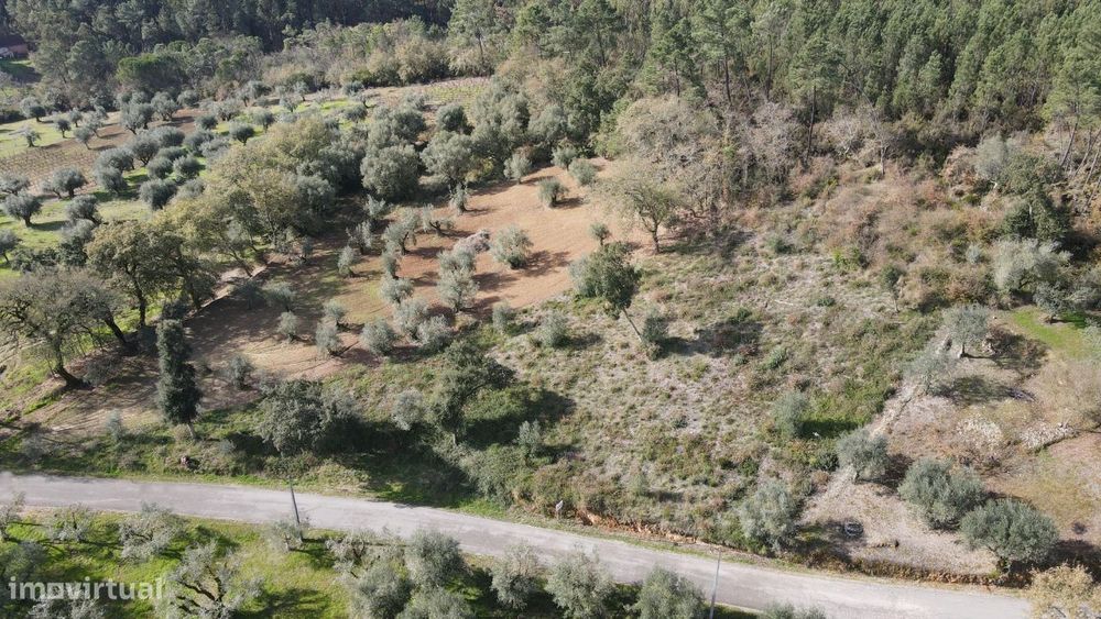 Terreno Agrícola/Florestal — Caxarias, Santarém