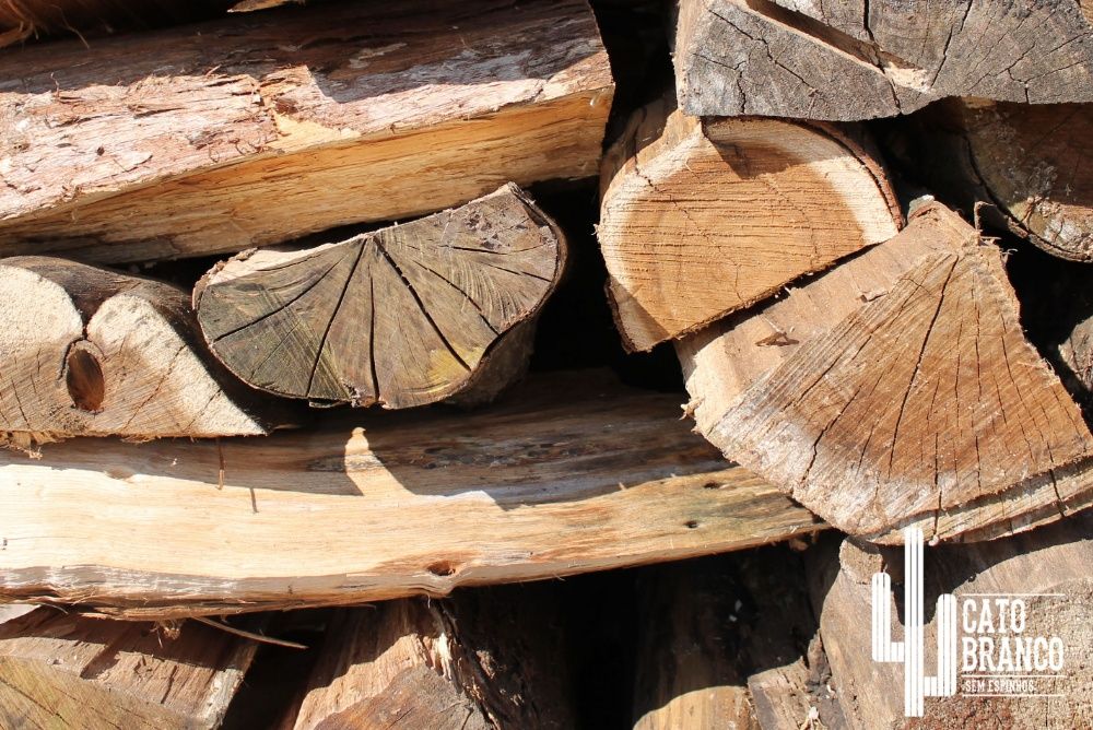 Lenha para venda