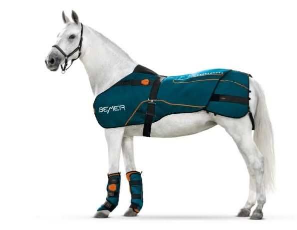 BEMER Horse Set / Equestrian Equipment
