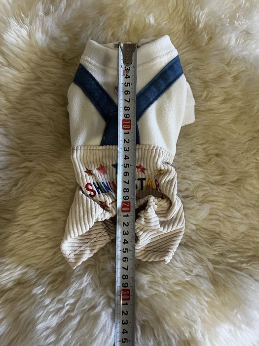 Одяг для маленького песика