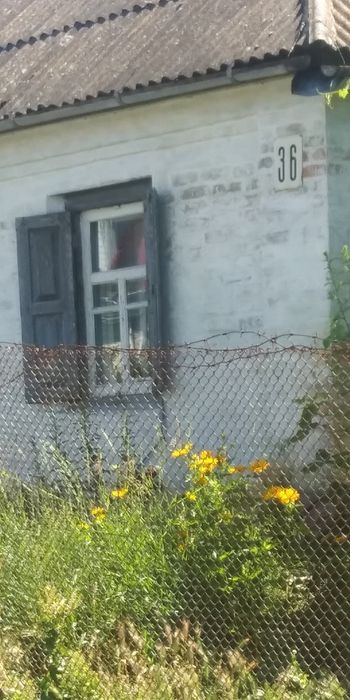 Будинок продаю в місті(здам)