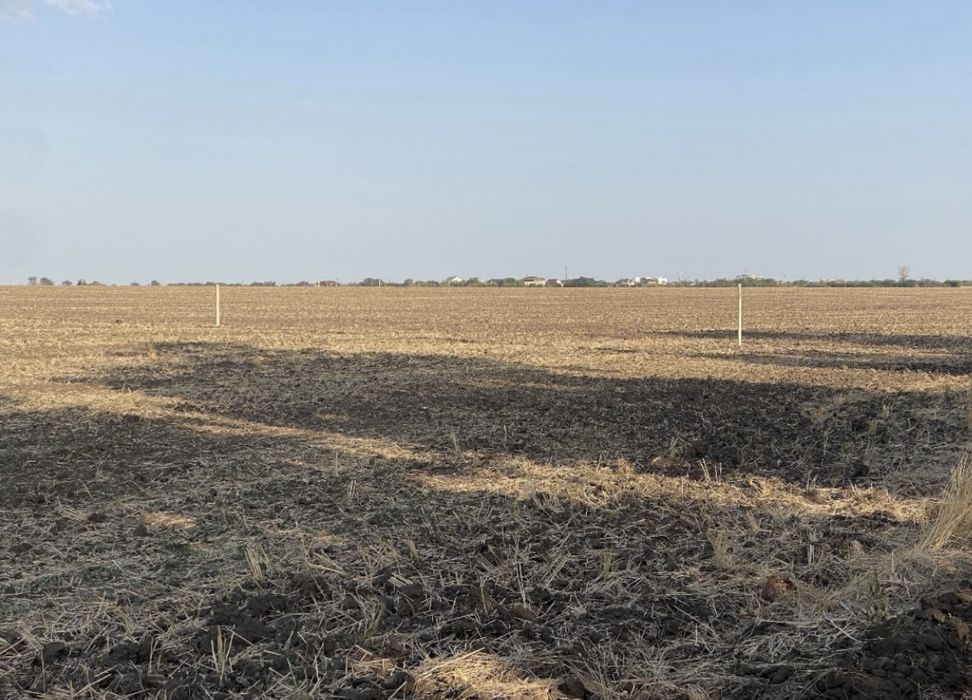 Новая нарезка  возле Початка, Одесса