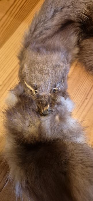 Futro x2 kuna łasica rekonstrukcja historyczna larp cosplay