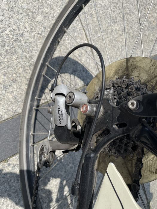 Rower trekkingowy Gazelle Modeo Plus