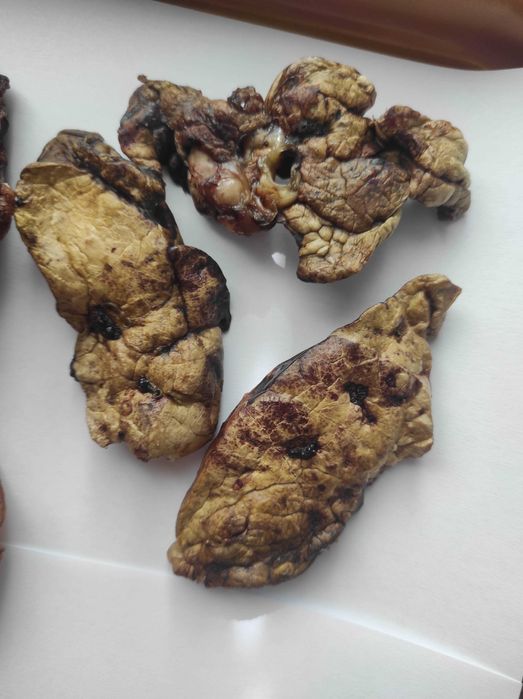 Смаколики для котиків і песиків