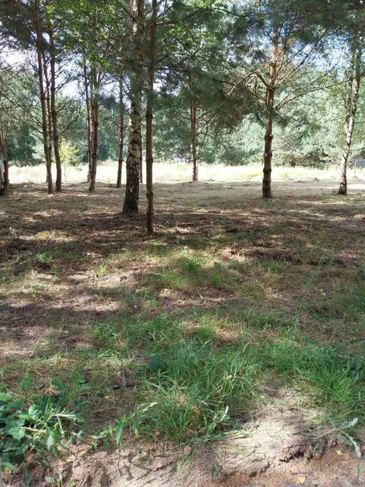 Wydzierżawię działkę rekreacyjną