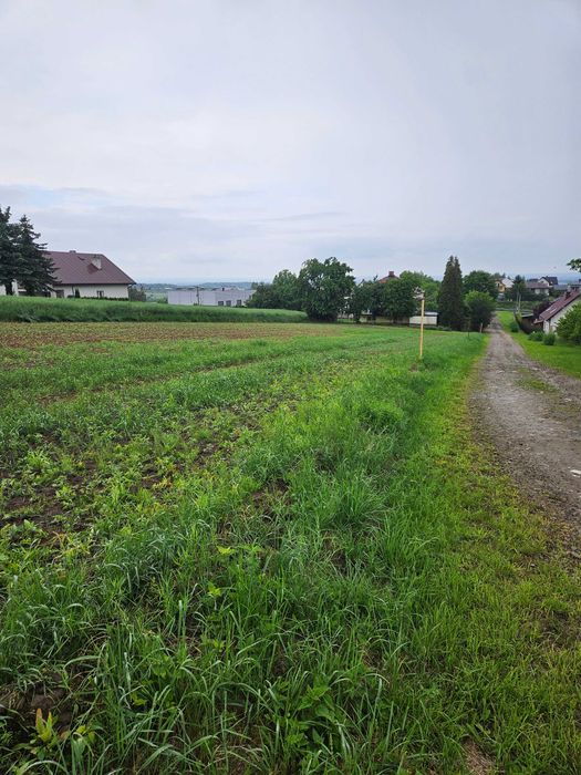 Działka budowlana Bodzanów powiat Wielicki 10/12 arów - Widok 2