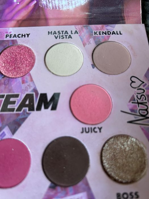 Paletka Natsu Team X