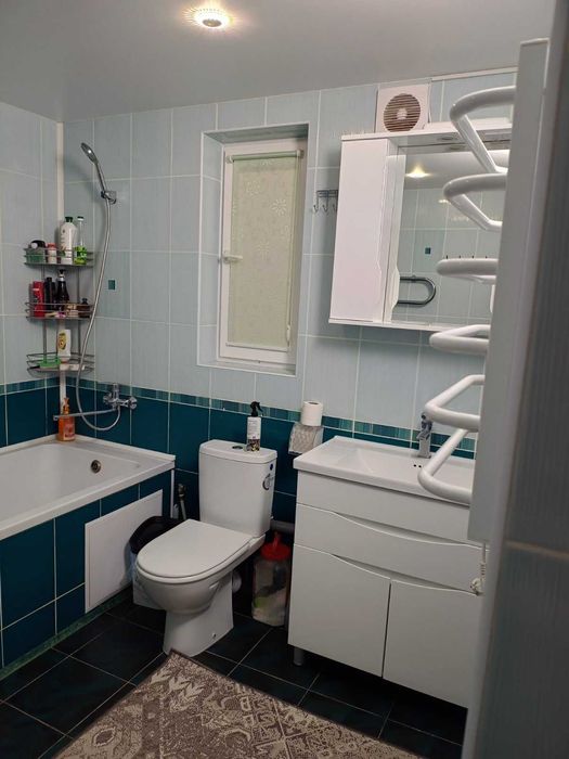(3) Продам будинок в с. Хижинці 0756