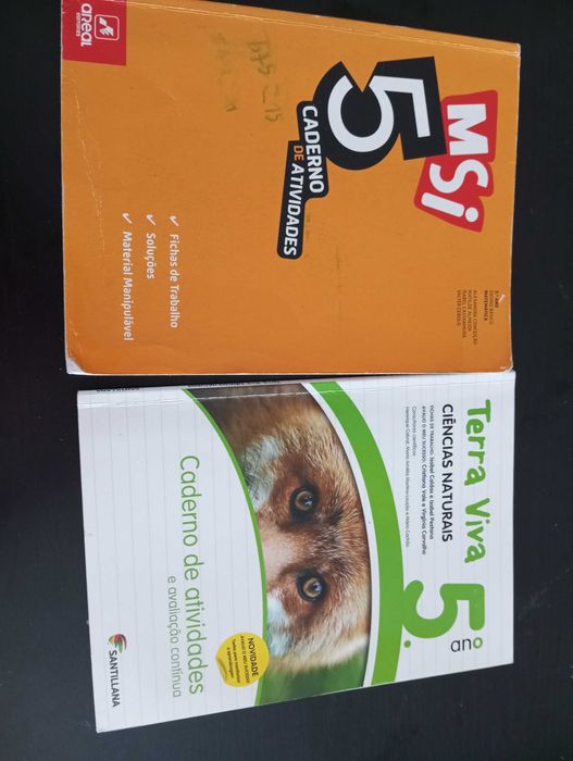 Livros de fichas 5 Ano