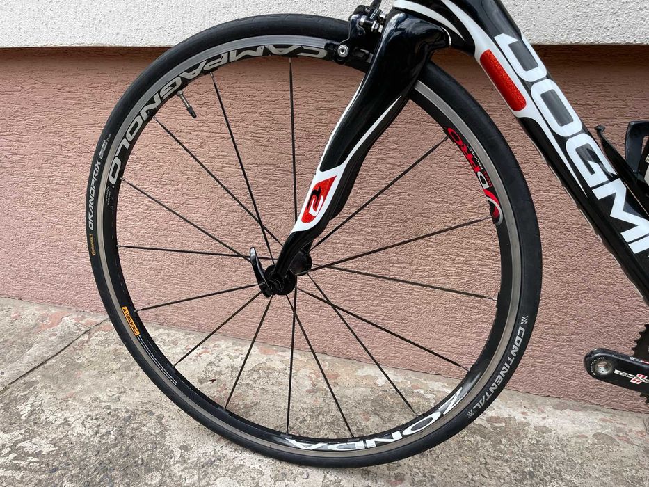 Rower szosowy Pinarello Dogma, full carbon, Campagnolo