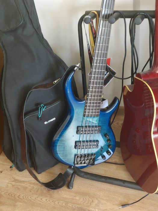 Gitara basowa Markus Miller