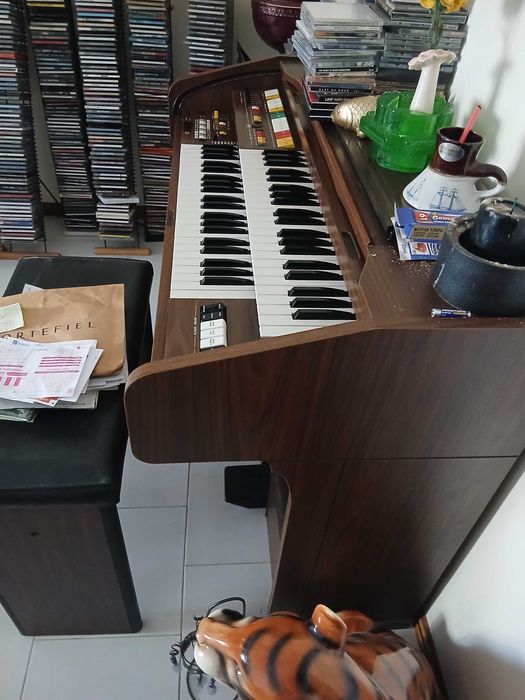 Órgão em bom estado e funcional