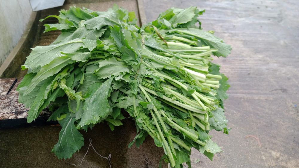 Vendo grelos e cebolas caseiras