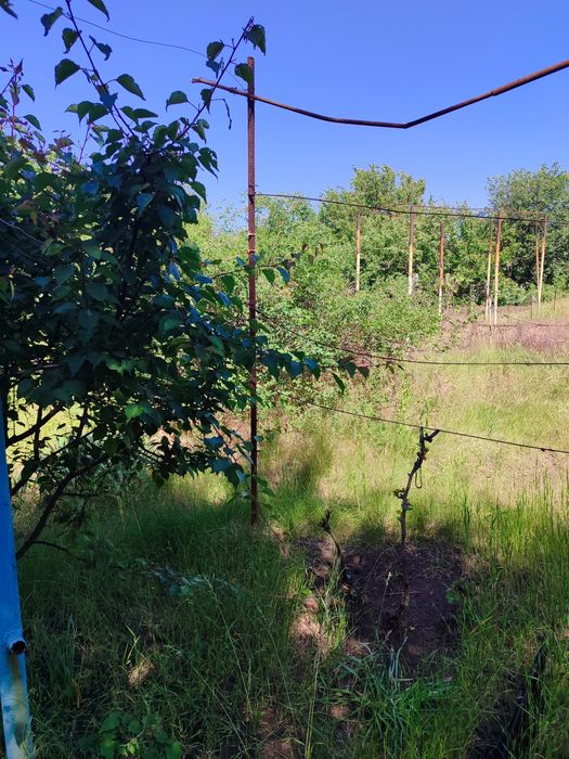 Продам дачу в черте города