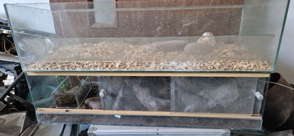 Terrarium dla pająków