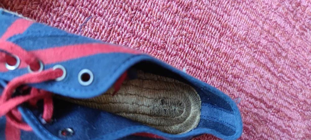 Sapatos / Alpargatas Mulher Nº 37