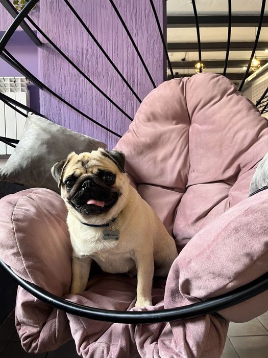 Качеля садовая-кокон, 2 шт. Металлические бу