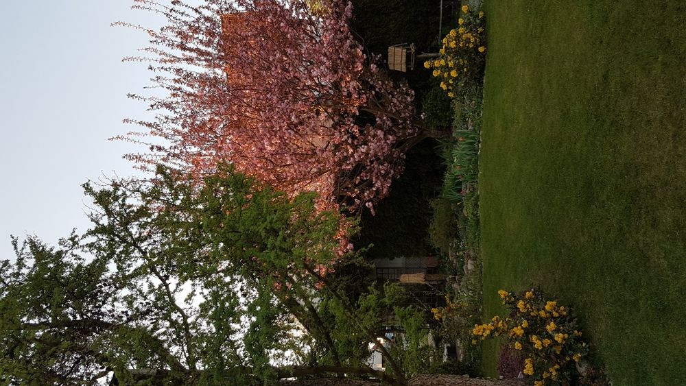 Projekt ogrodu przydomowego 1000m