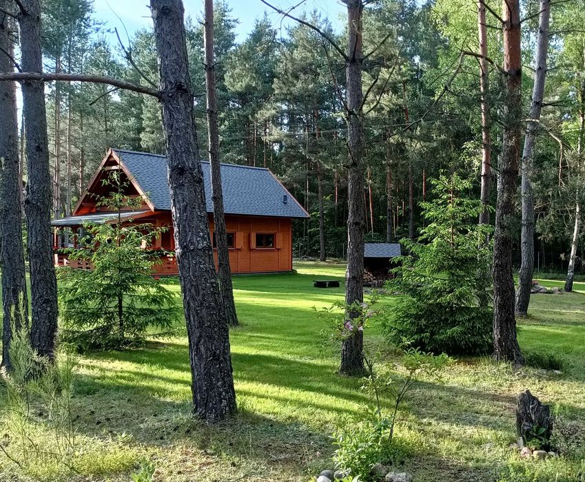 "Złap oddech" Domek do wynajęcia,w lesie,drewniany całoroczny.