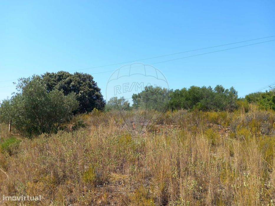 Terreno  para venda — Monsanto, Santarém