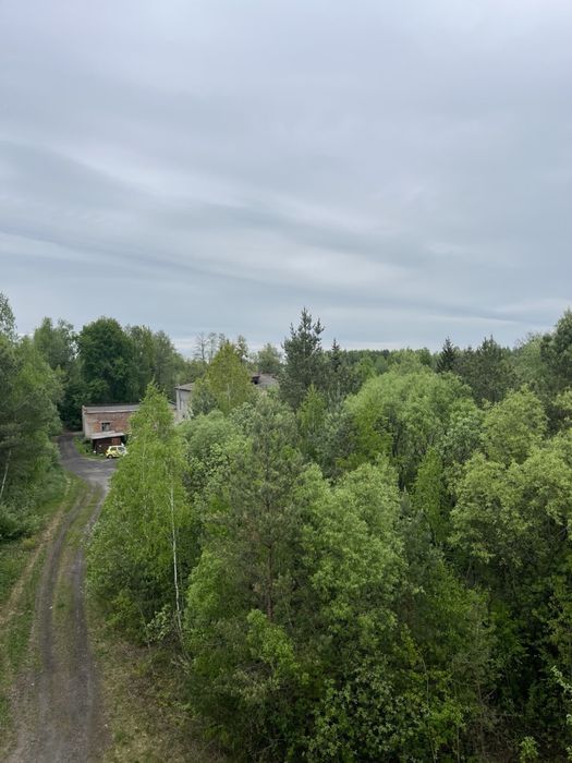 Будівля біля лісу