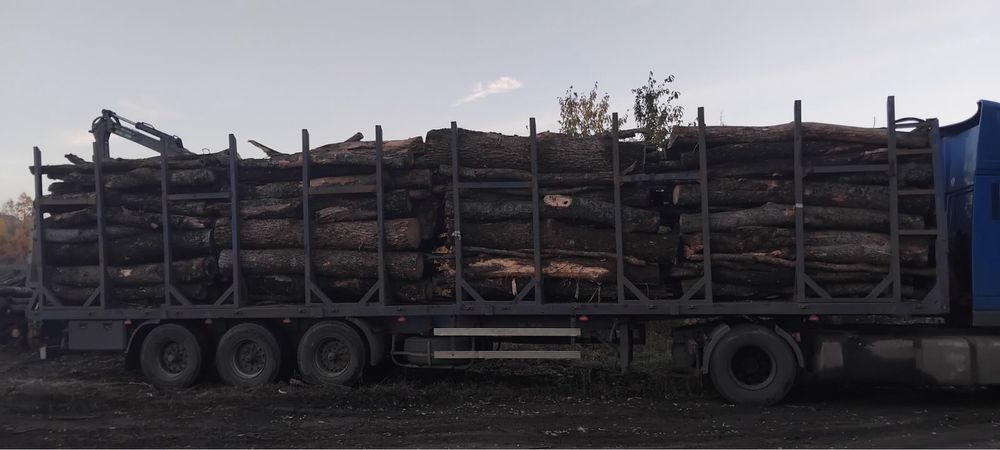 Дрова таердих порід ОПТОМ