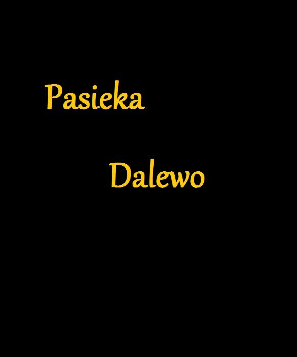 Miód rzepakowy z 2025