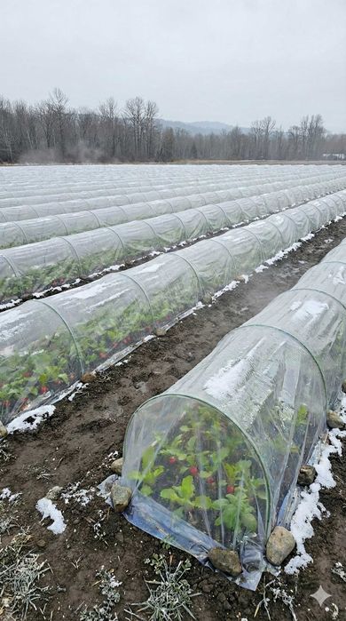 Композитні дуги для парника — легкість, міцність і довговічність