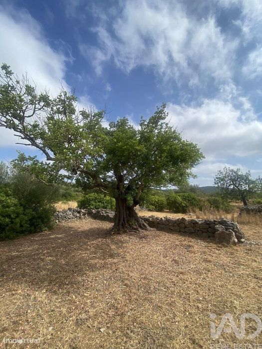 Terreno em Santa Catarina da Fonte do Bispo de 10000,00 m2