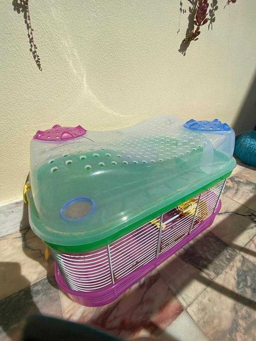 gaiola para roedores