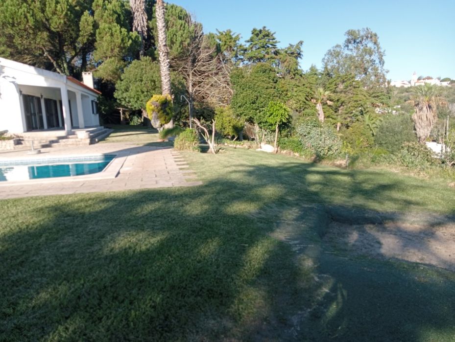 Manutenção de jardins