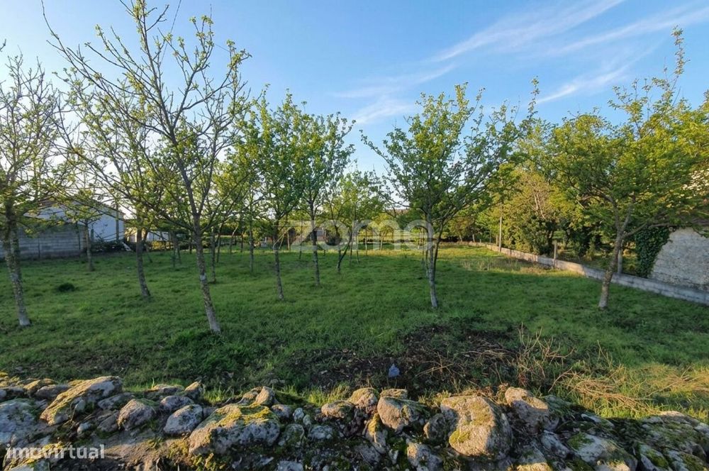 Terreno Urbanizável 1.169 m² + Estudo Prévio | Moradia T3 | Sátão