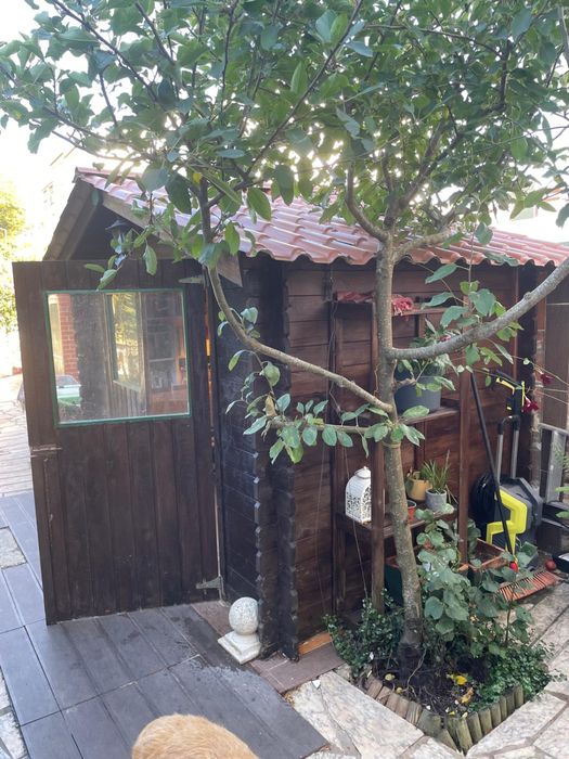 T3 + T2 independentes com quintal