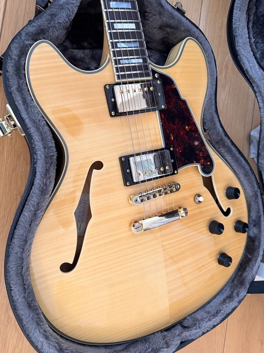 D’angelico Excel DC - 2018
