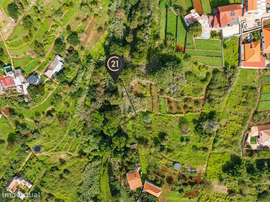 Terreno Rústico Agroflorestal de 730 m2 - Santa Cruz, Madeira