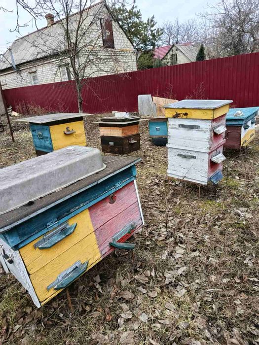 Вулики для бджіл