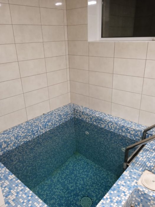 Баня на дровах Боратин з басейном