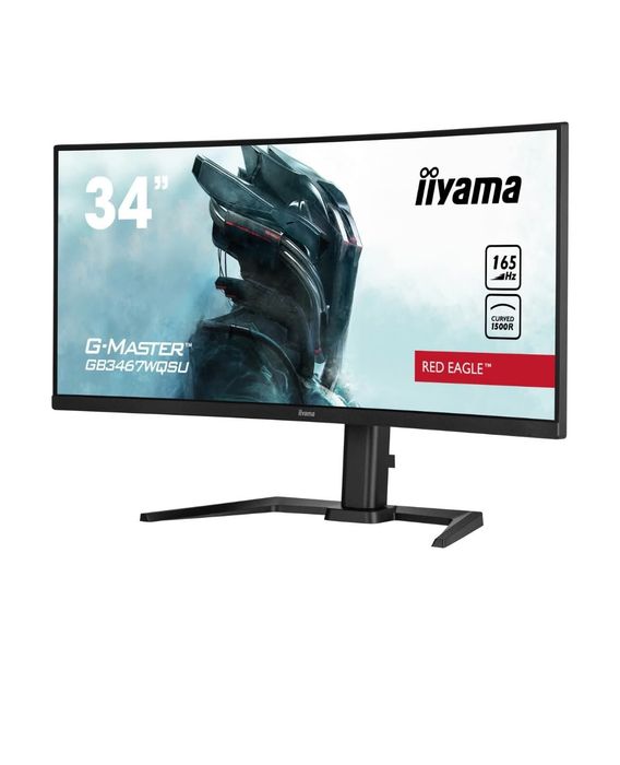 Monitor iiyama G-MASTER