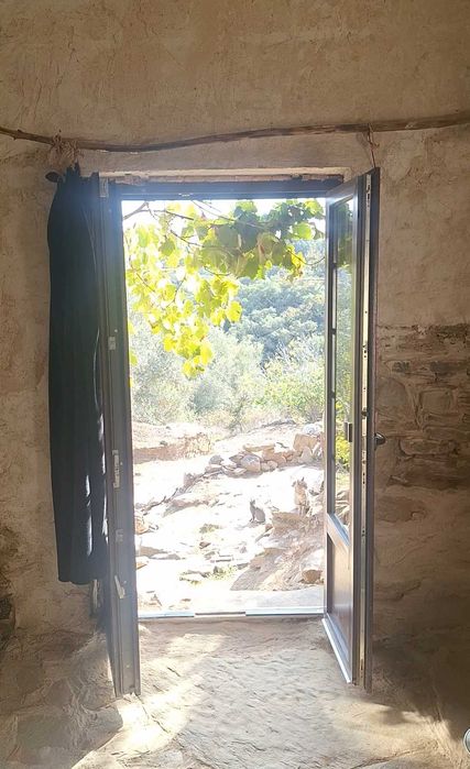 A very special estate | Fruit, Veg garden, Water abundance, Electricity | €160K