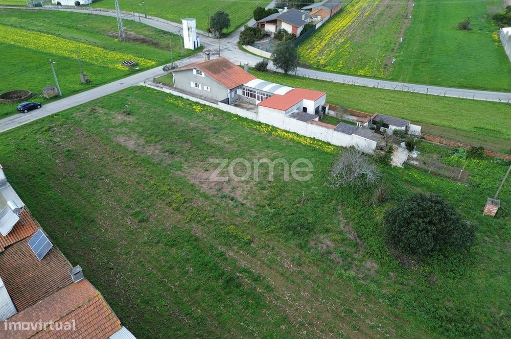 Terreno para moradia isolada ou 2 moradias geminadas_1900m2_Vagos