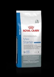 Royal canin Maxi Starter 1kg przeważana